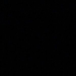 Meet your Posher, Pau